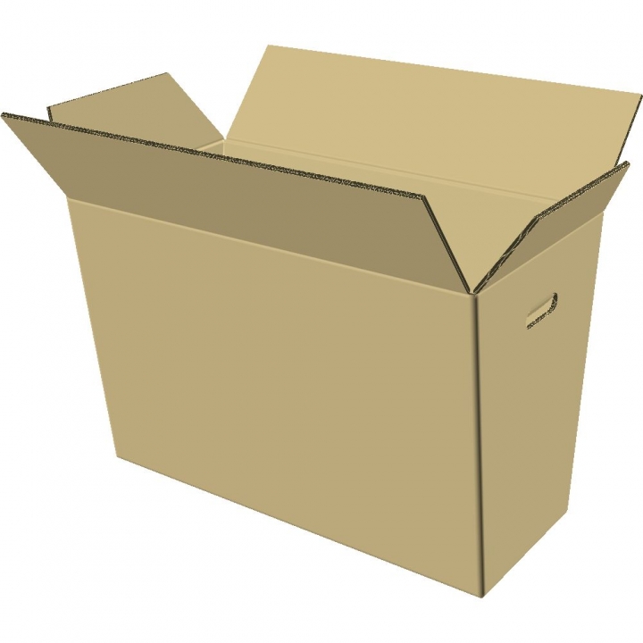 bowl carton box.JPG